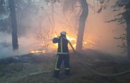 Уряд виділяє 185 мільйонів гривень на допомогу постраждалим від пожежі в Луганській області