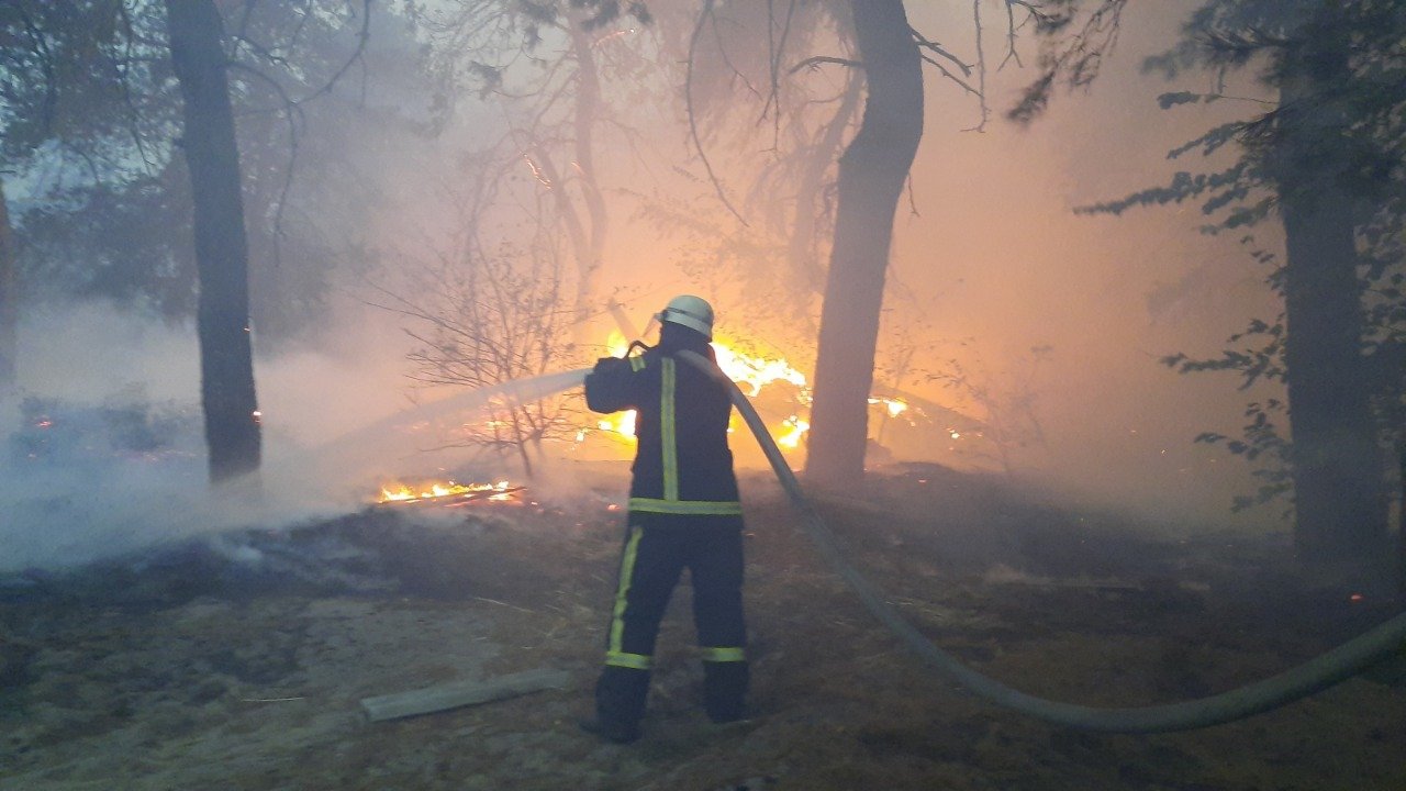 Уряд виділяє 185 мільйонів гривень на допомогу постраждалим від пожежі в Луганській області