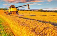 44 млн тонн зерна, зібраного в Україні