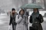 BMW knocked a woman to death at a crosswalk in Kharkiv