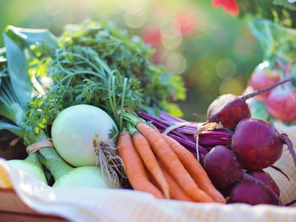 Vegetables of Borscht Set For The Year Fell By 30%