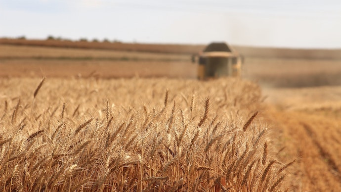 Ukraine Harvests 100% of the Main Crops!