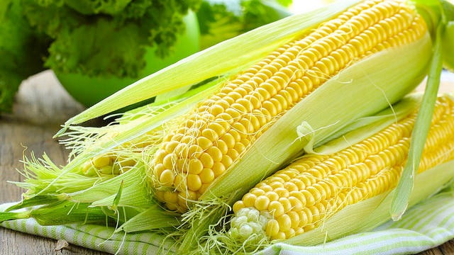 Why the Export Demand for Ukrainian Corn Is Falling?