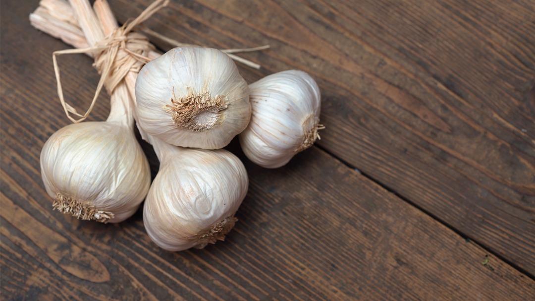 Ukraine May Become the Third Largest Producer of Garlic in the World!