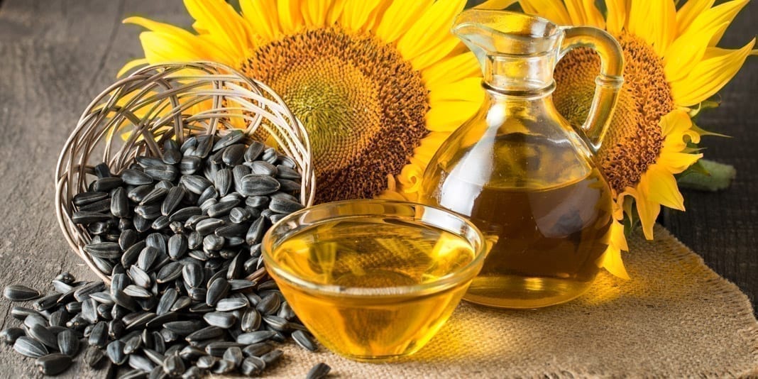 Rising in the Price of Sunflower Oil in Ukraine!