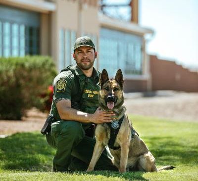Training More Than 400 Specialists at Canine School of Border Guards!