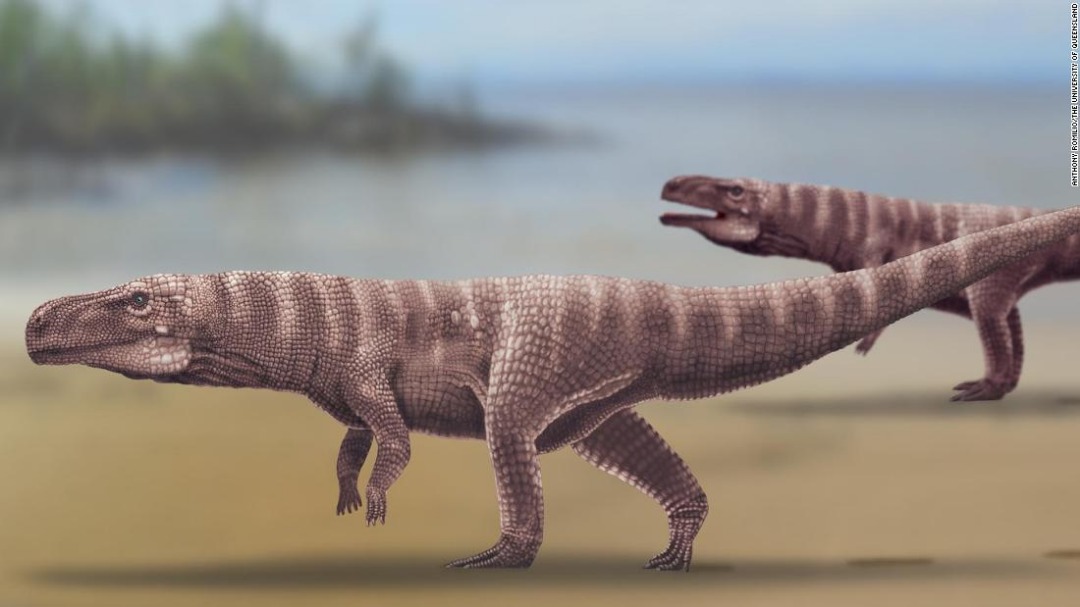 Finding Traces of a Prehistoric Crocodile-like Reptile!
