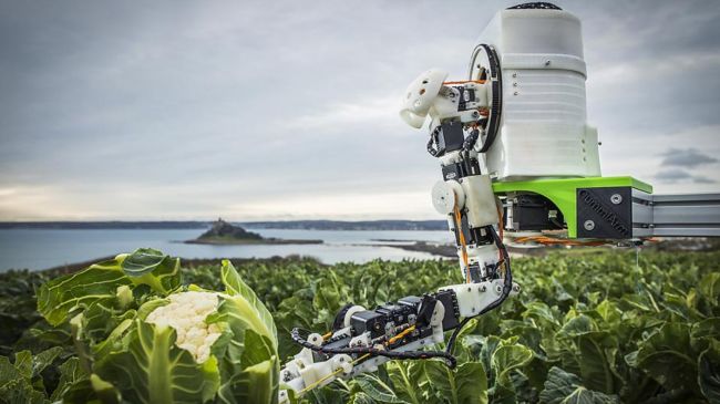 Inventing a Robot That Harvests Fruit Crops!