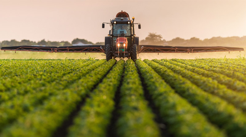 The Results of Pesticide Use in Ukraine!