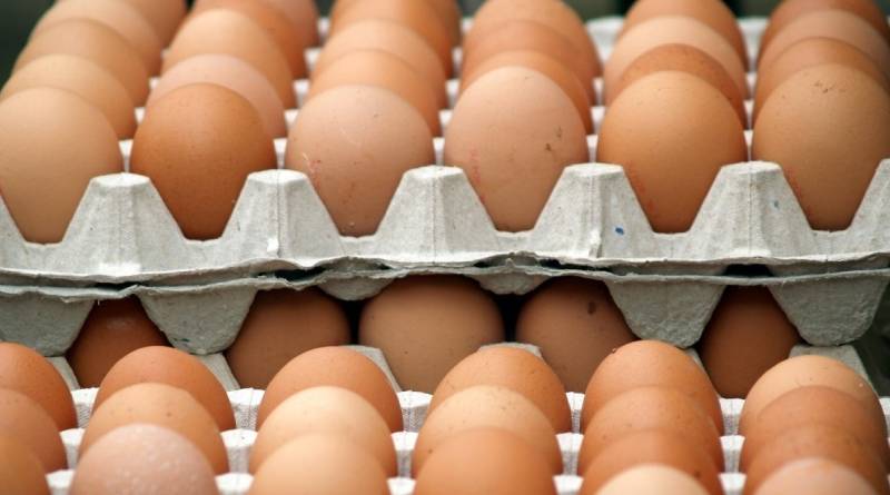 Egg Prices Rises Further in Ukraine!