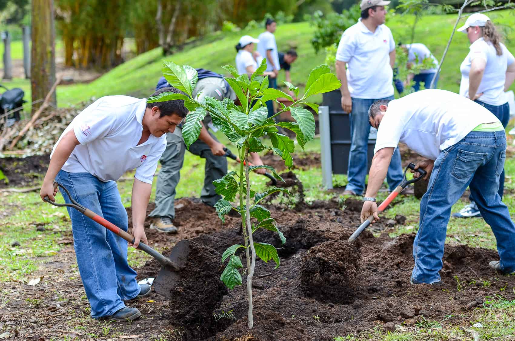 A Reforestation Campaign in Kherson Region!