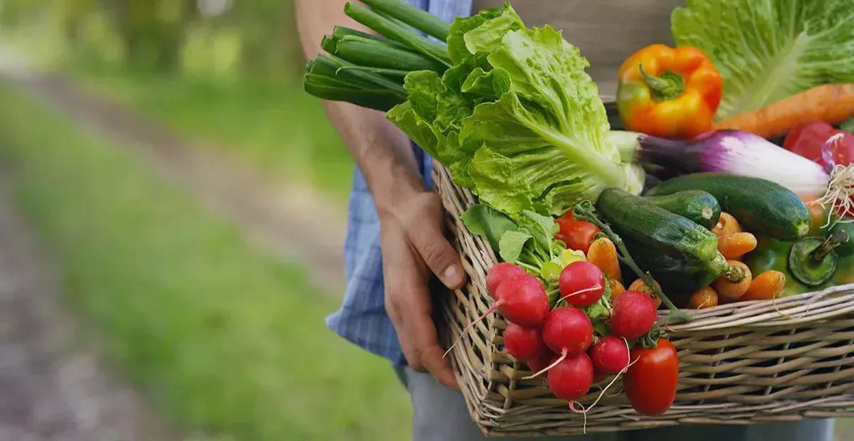 Growing Organic Products in Kyiv!