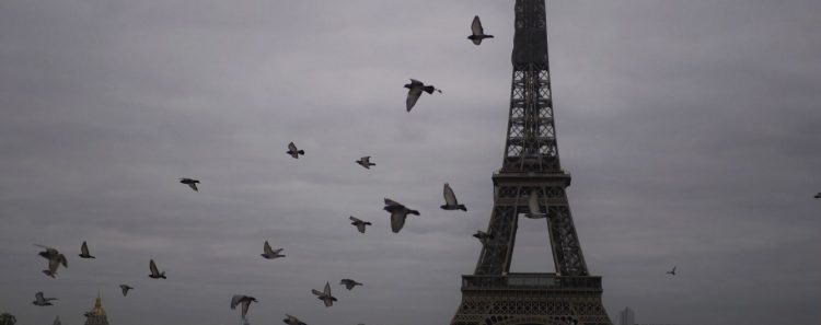 Repainting the Eiffel Tower for the First Time in 50 Years!