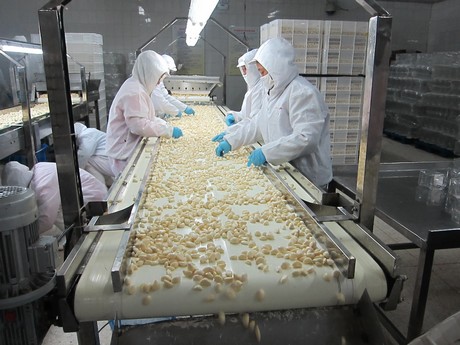 The First Garlic Processing Plant in Ukraine Started Operating!