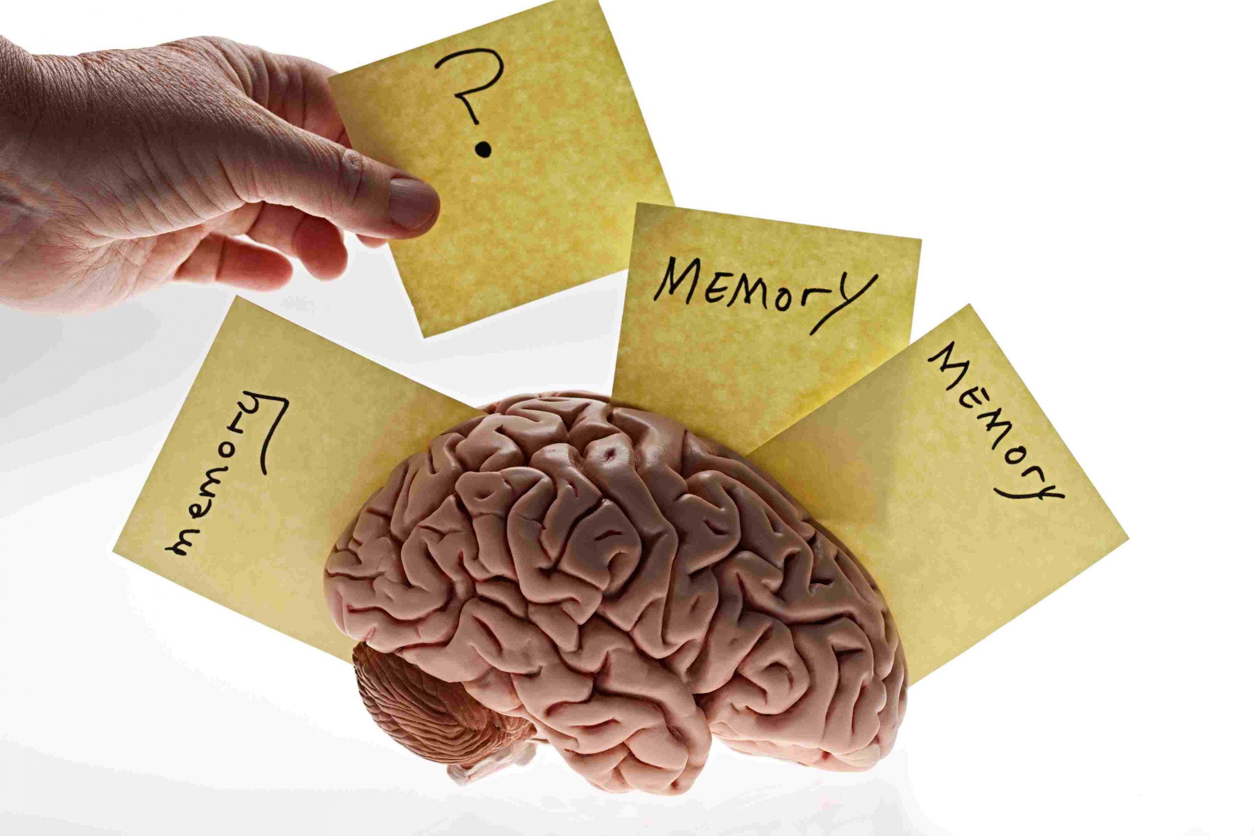 The Main Factors That Impair Memory!