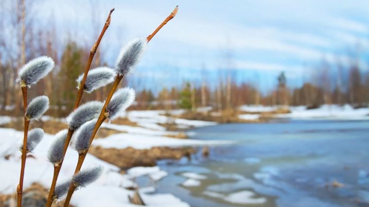 Weather temperature in Ukraine for the Weekend