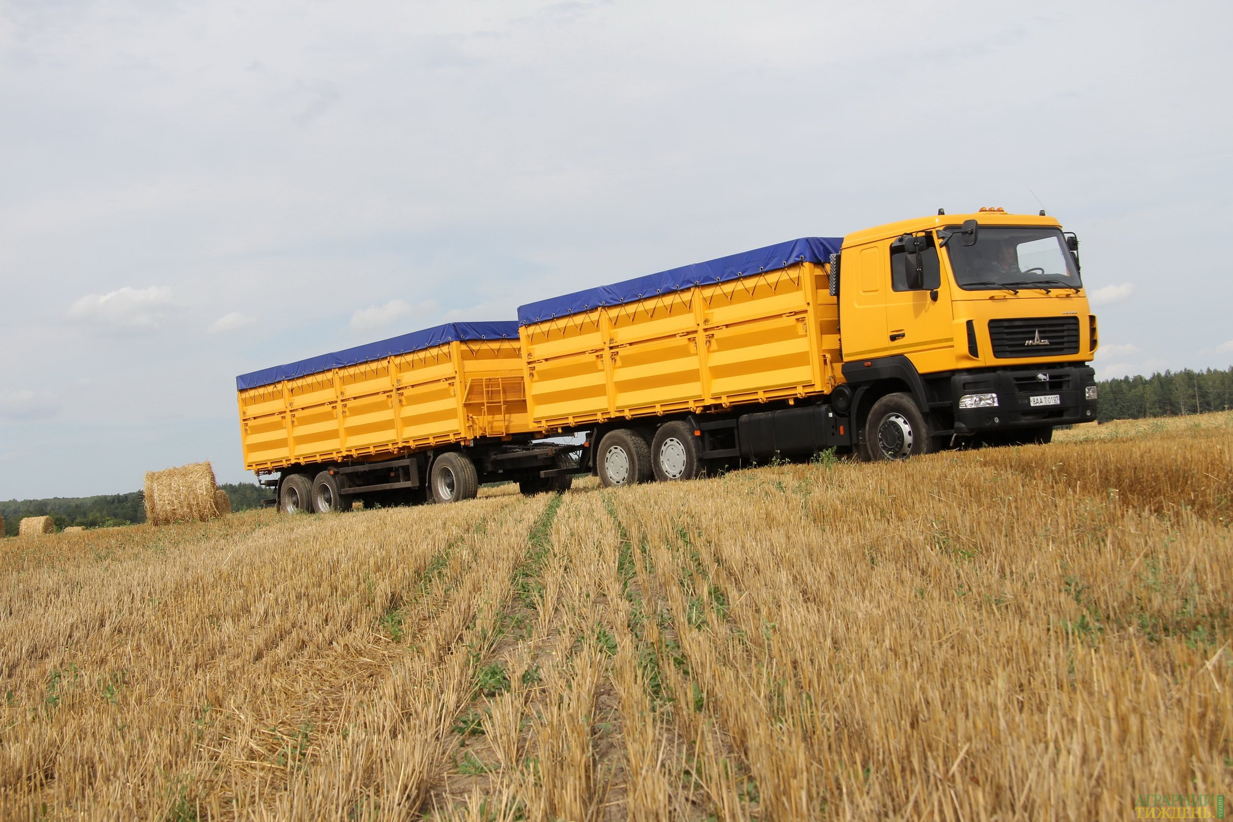 Ukraine Exports More than 14.5 Million Tons of Corn