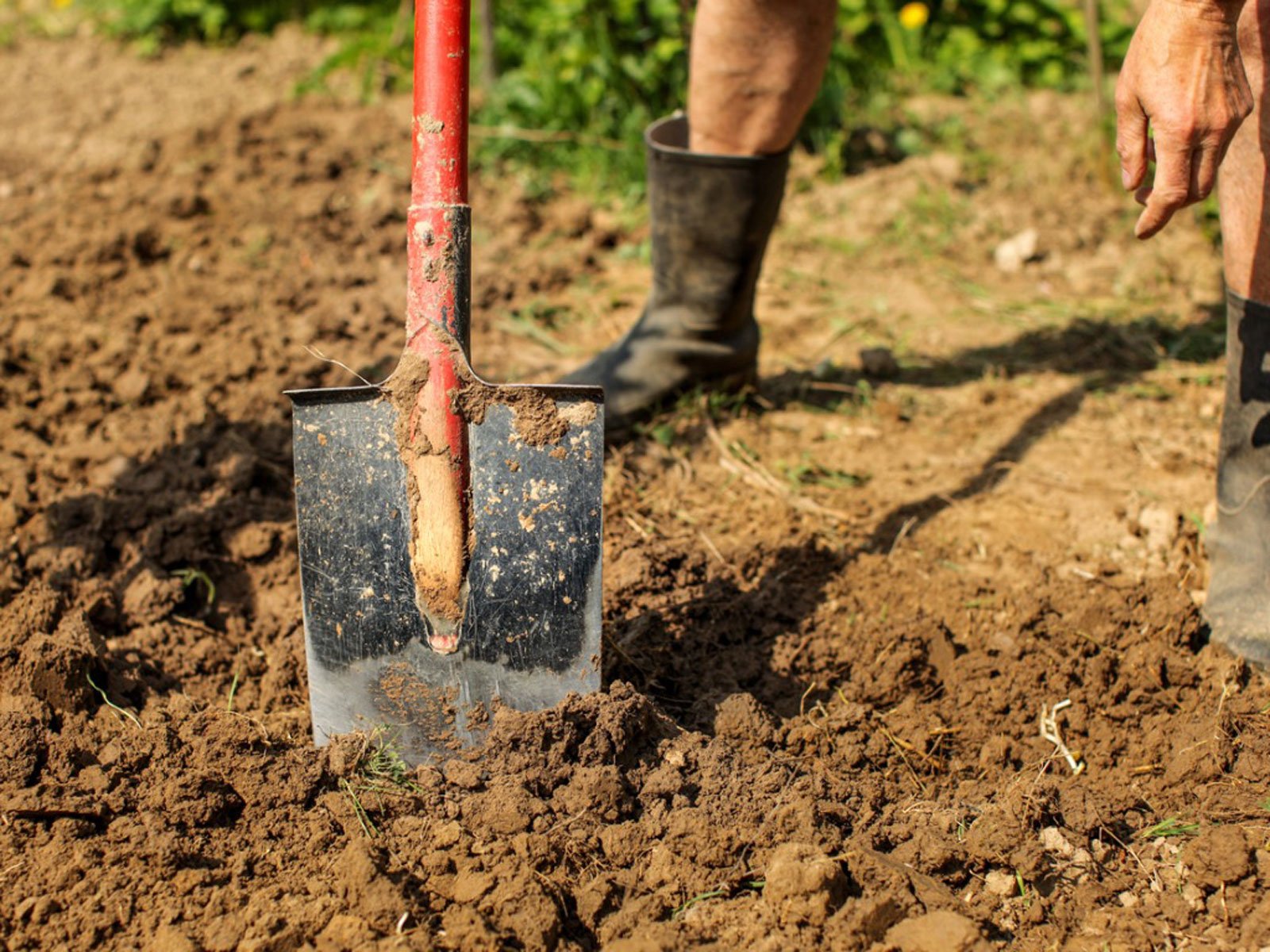 Effective Ways to Improve Clay Soils