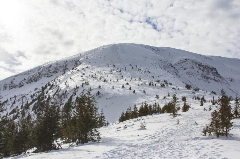 Shutka Climbs Snow-Covered Hoverla on a Bicycle