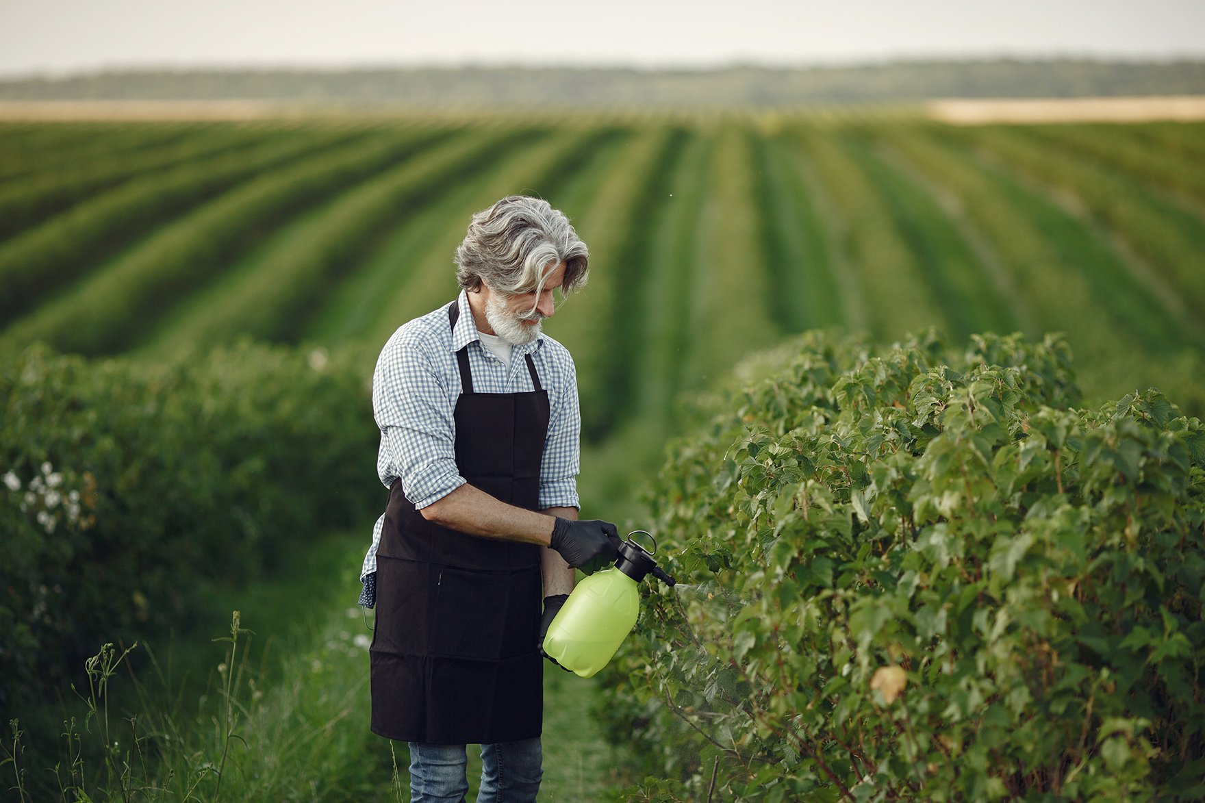 The European Integration Draft Law on Pesticides and Agrochemicals