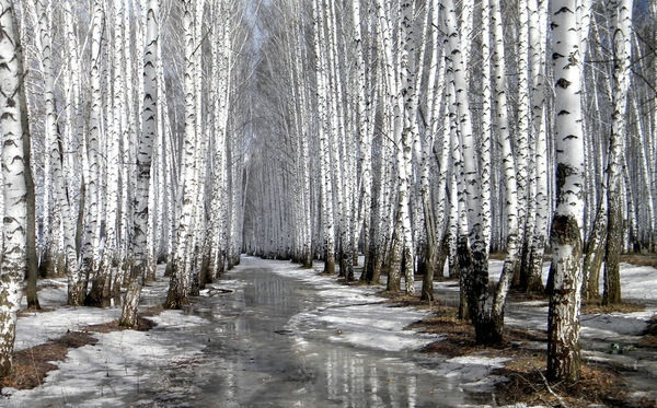 Wet Weather for the Beginning of March in Ukraine