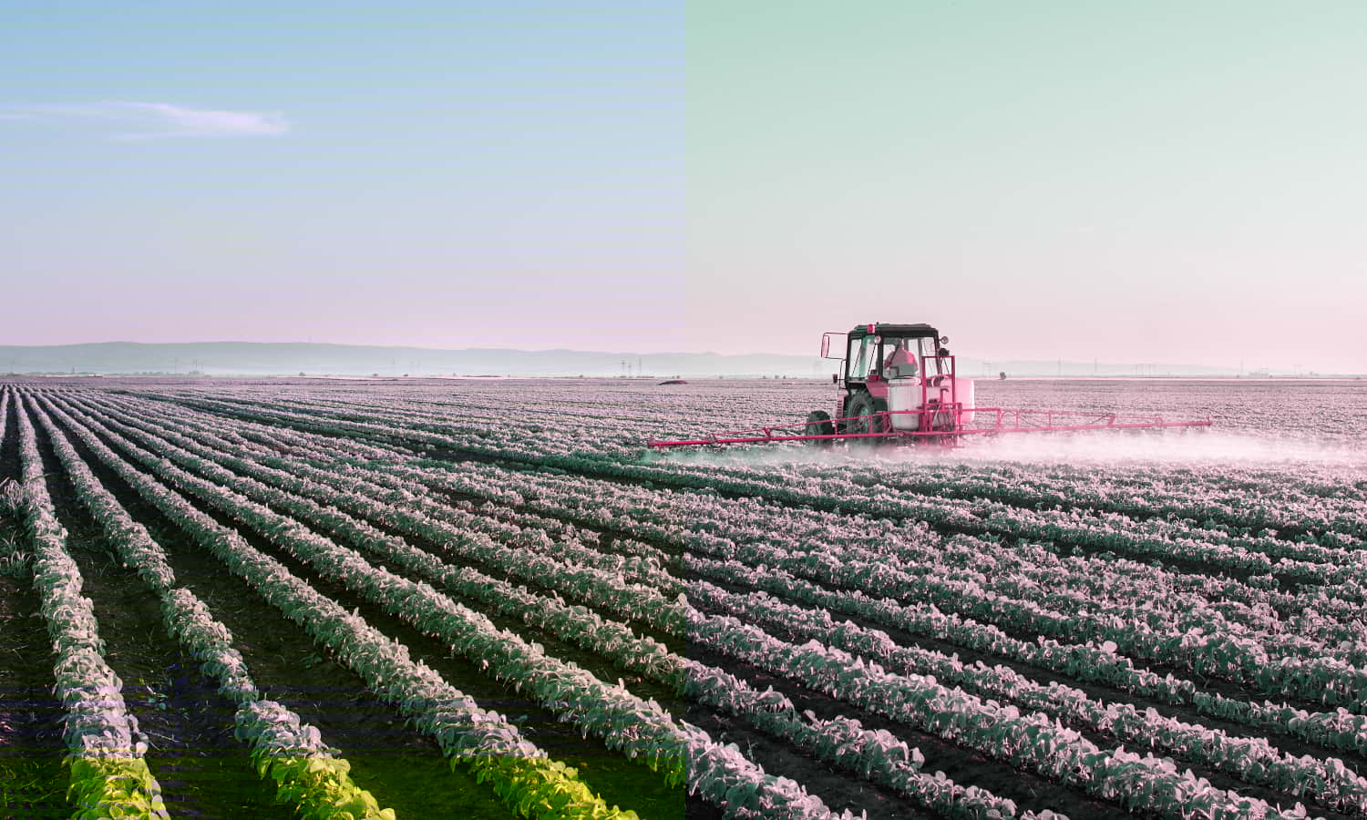 Where Does Field Security Begin