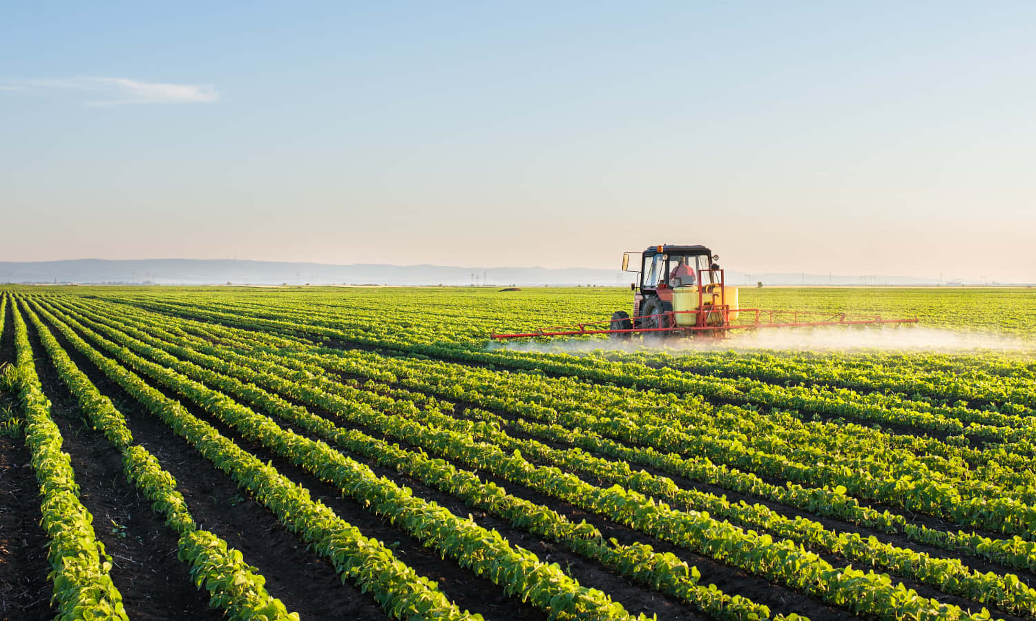 Where Does Field Security Begin