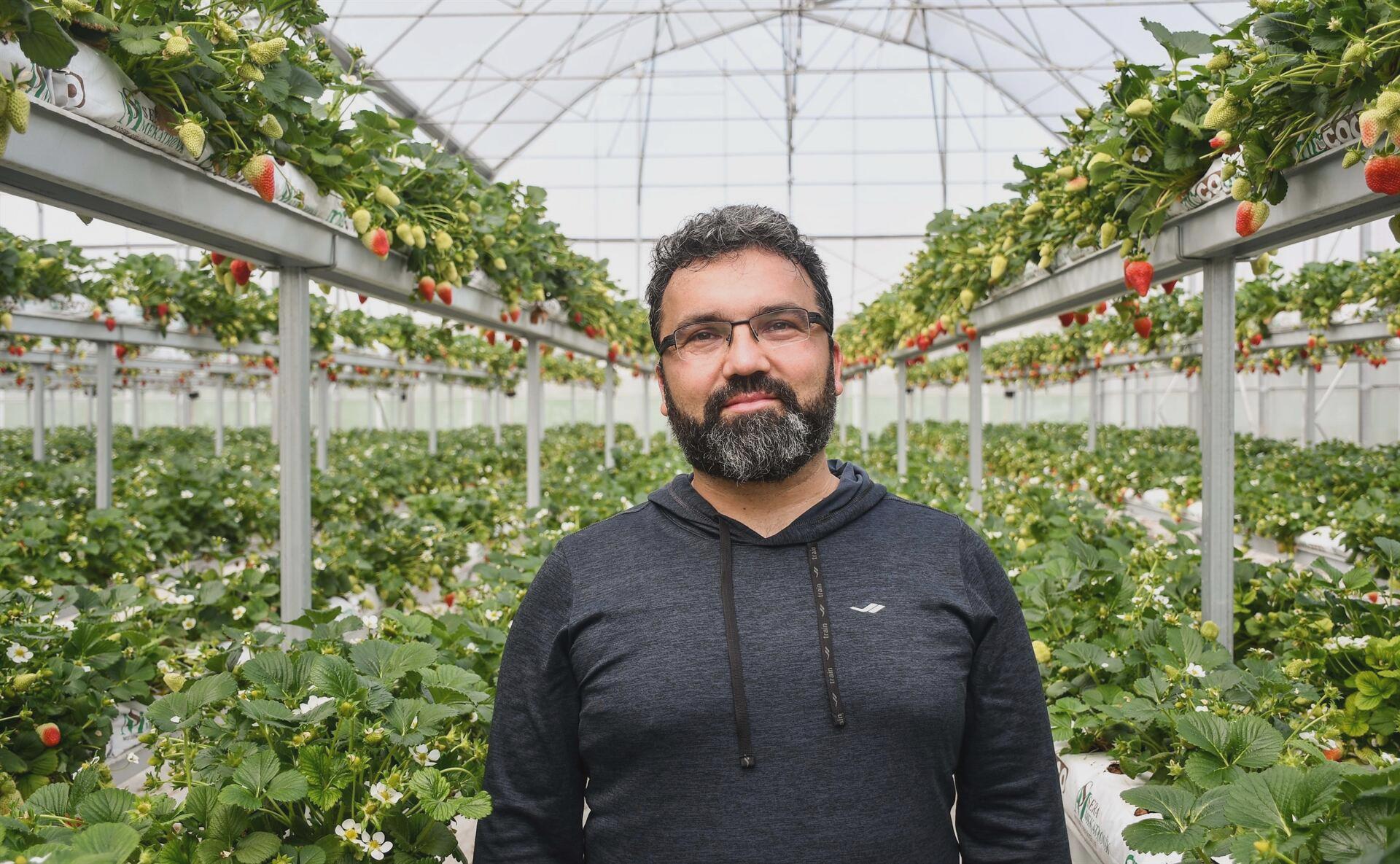 A Banker Quit His Job and Started Growing Strawberries