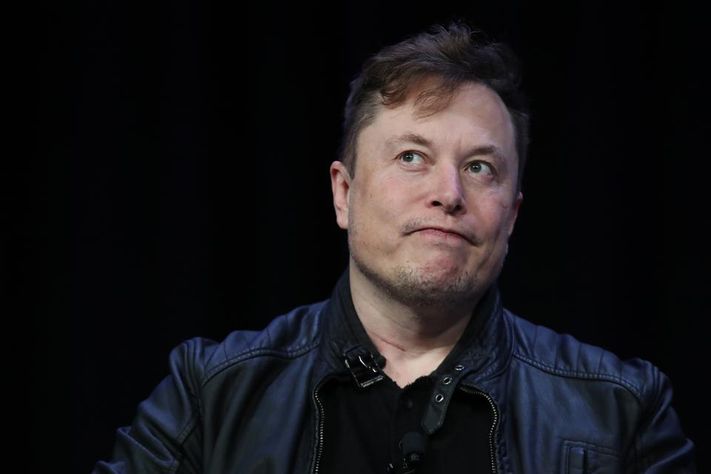 Musk and Arno Make a Record 13 Billion Each in a Week