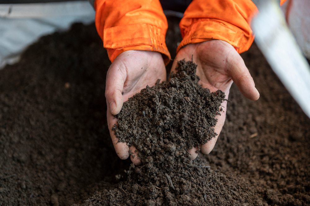 Useful Tips for Making Compost