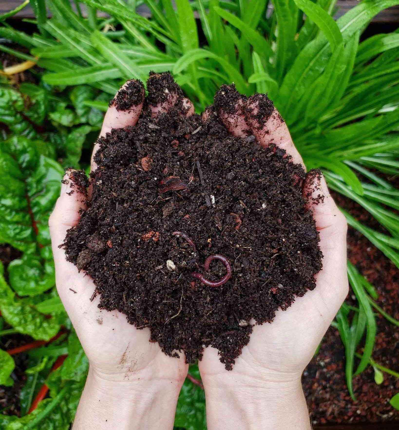What Organic Matter Cannot Be Sent to Compost