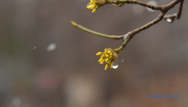 Rain and cold weather continued until the end of the week