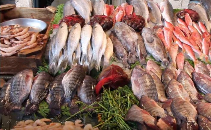 Seafood and its impact on human health