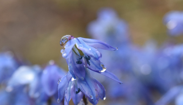 Meteorologists forecast the weather in Ukraine for April 21
