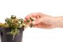 Plans to Carry Out a Digital Transformation in Education