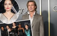 Brad Pitt Has Joint Custody of the Children with Angelina Jolie