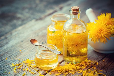 Cooking the Useful Dandelion Honey With Lemon