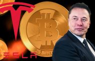 Elon Musk Expects the Cryptocurrency Will Take Over the World
