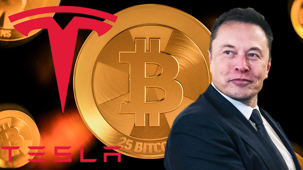 Elon Musk Expects the Cryptocurrency Will Take Over the World