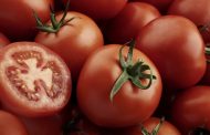 Fertilizing Will Increase the Growth of Tomatoes