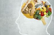 Foods That the Human Brain Loves