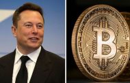 Musk Would Do with Bitcoins Amid Their Collapse