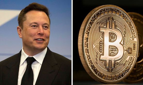 Musk Would Do with Bitcoins Amid Their Collapse
