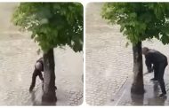 On One of the Streets of Frankivsk, the Man Tried to Cut Down a Tree