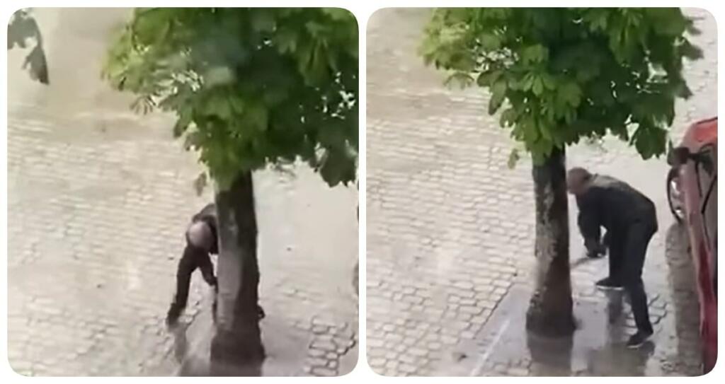On One of the Streets of Frankivsk, the Man Tried to Cut Down a Tree