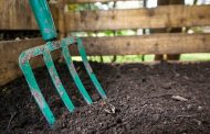 Secrets of Getting Fast and Quality Compost