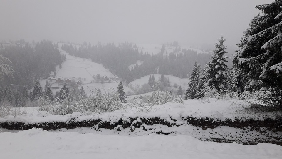 The May Snows in the Carpathians