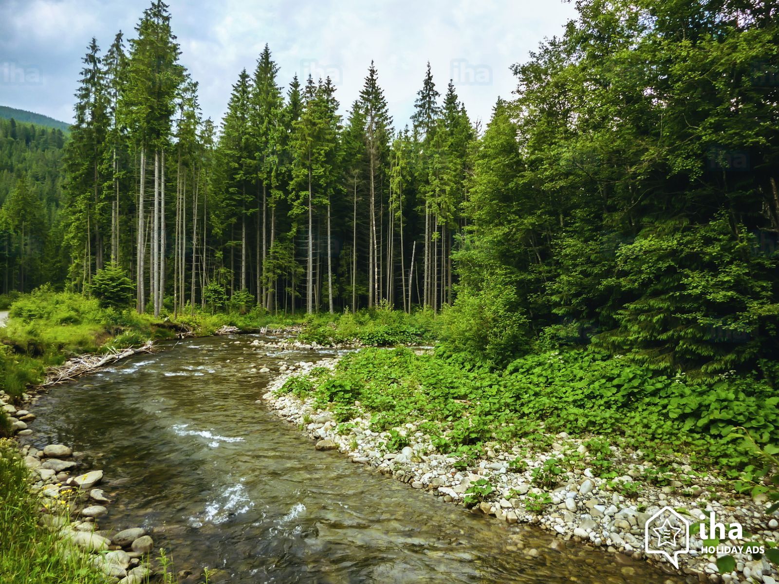 Warmer In Ukraine and Thaw in the Carpathians