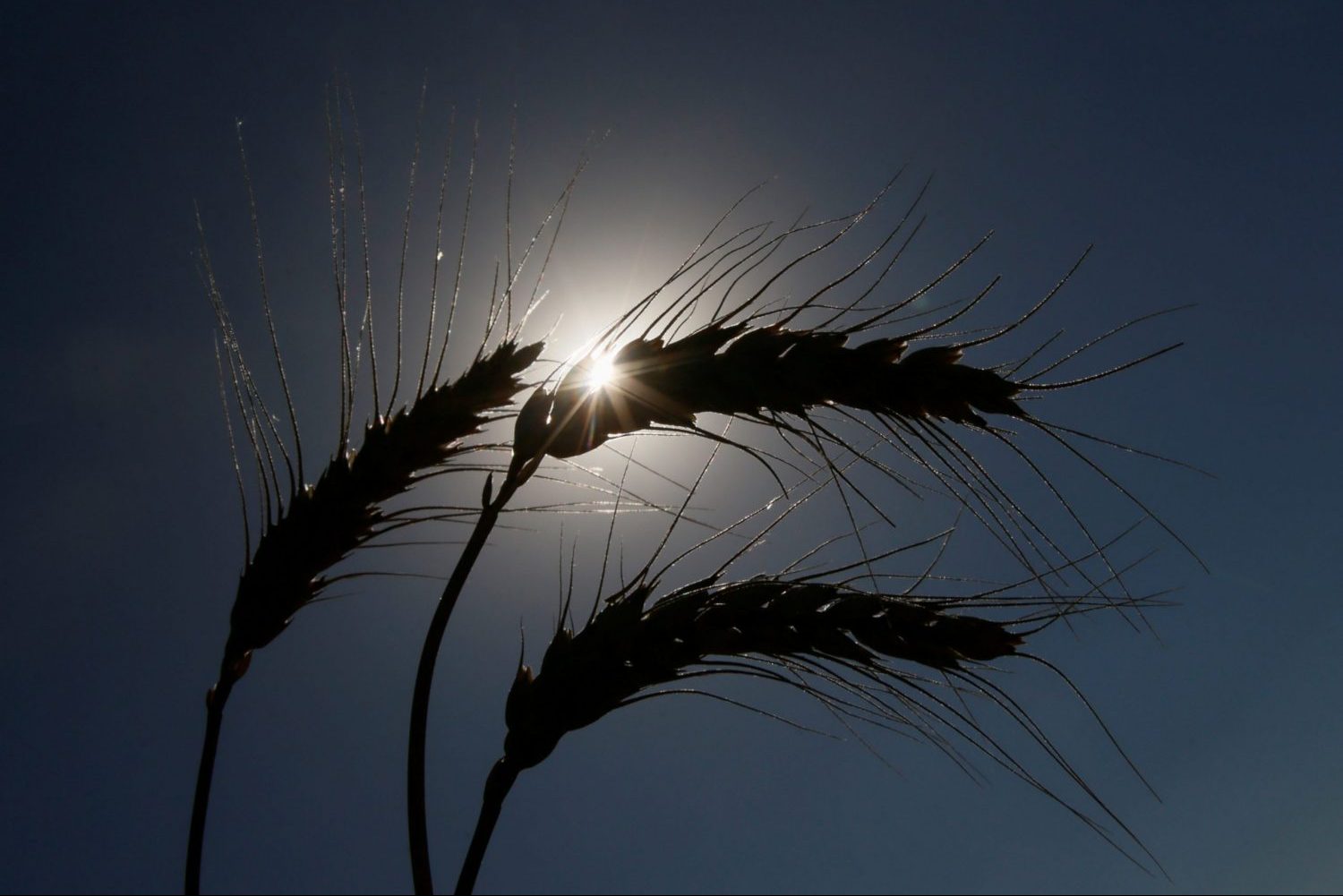 What Will the Weather Be Like in Ukraine on September 12