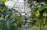 A New Greenhouse Will Open in Zaporizhia Botanical Garden